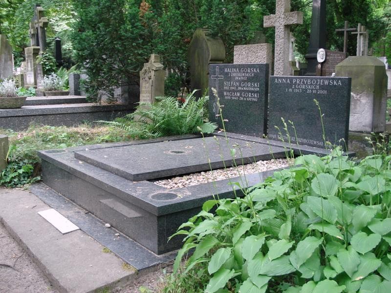 Zdjęcie grobu: Stefan Gorski