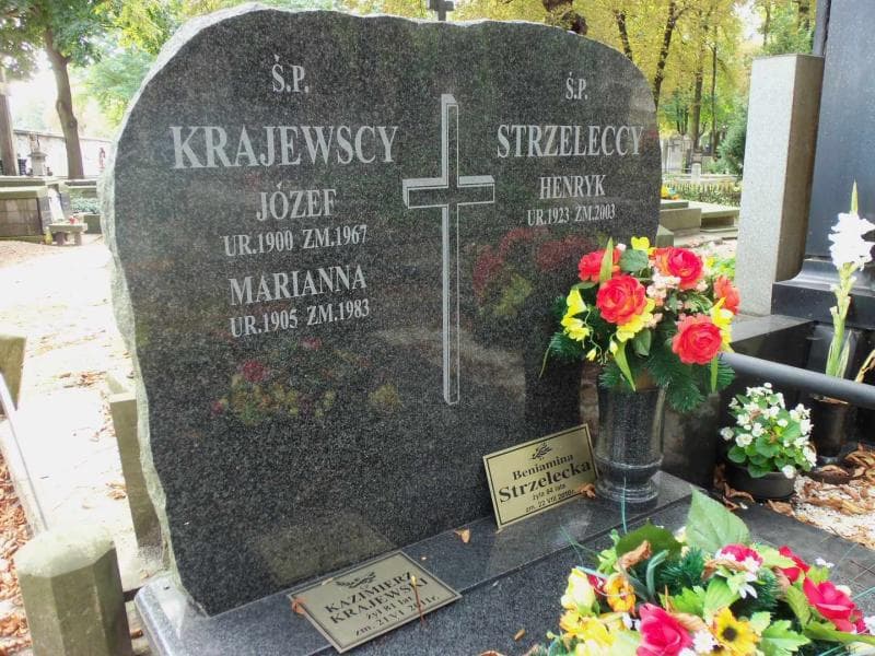 Zdjęcie grobu Beniamina Strzelecka (2)