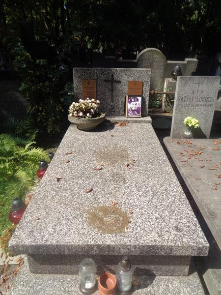 Zdjęcie grobu Henryk Oleksiak (1)