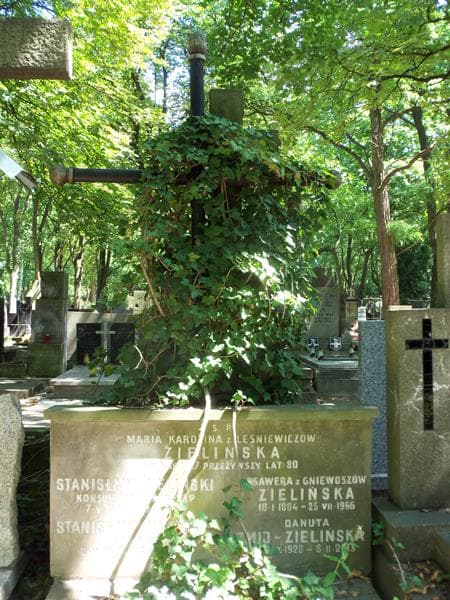Zdjęcie grobu Danuta Żmij - Zielińska (2)