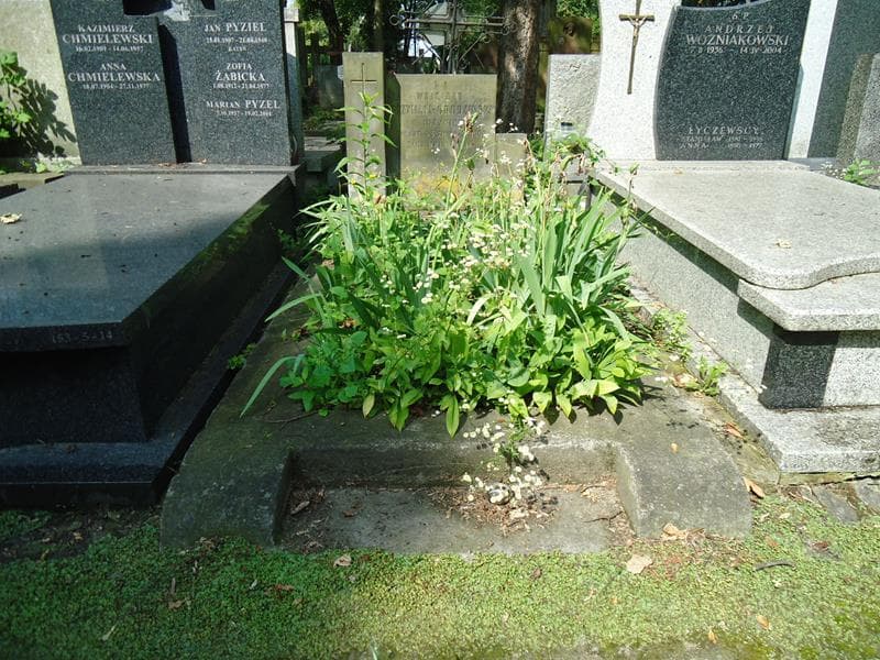 Zdjęcie grobu: Wojciech Grzymała-Grudziński