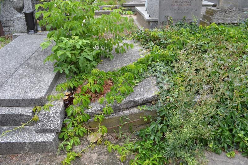 Zdjęcie grobu Zofia Ruszczykowska (1)