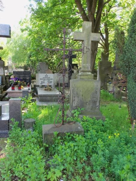 Zdjęcie grobu Ignacy Matkowski (2)