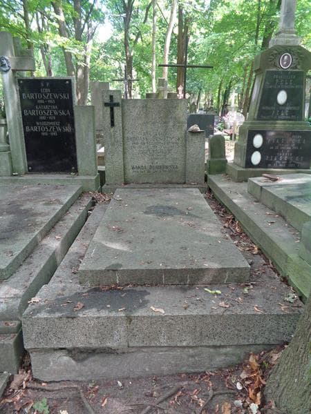 Zdjęcie grobu Bolesław Habdank-Dunikowski (1)
