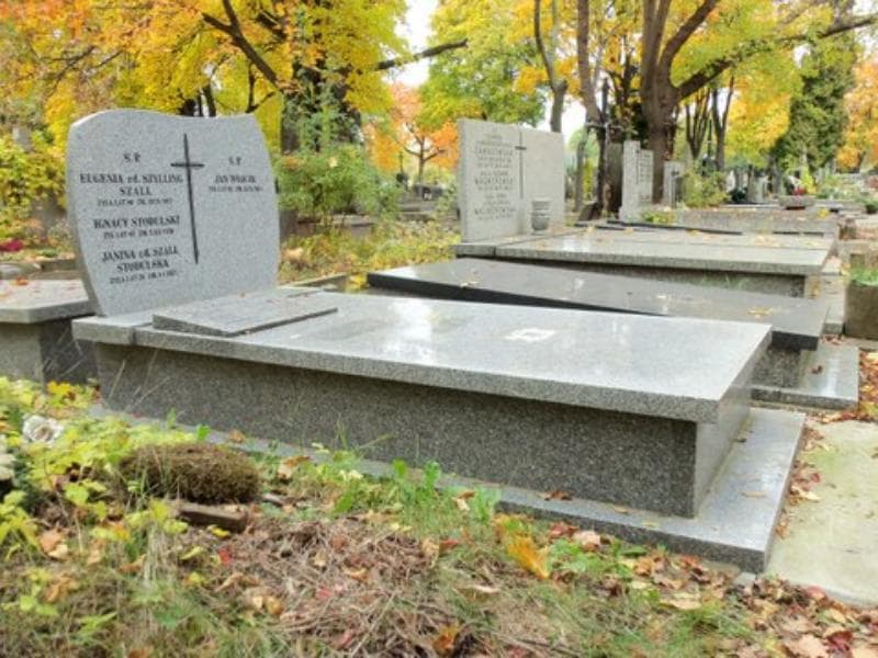 Zdjęcie grobu Ignacy Stodulski (1)