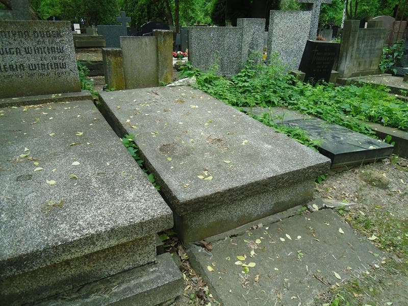 Zdjęcie grobu Aleksandra Zgorzelska (2)
