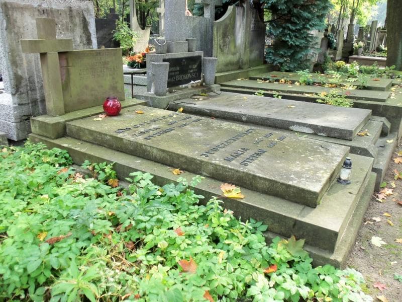 Zdjęcie grobu Władysław Jędrzejewski (1)