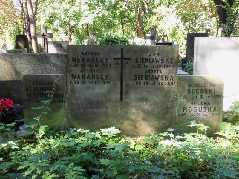 Zdjęcie grobu Czesława Strumph-Wojtkiewicz (2)