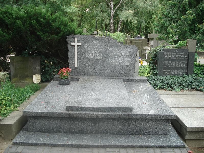 Zdjęcie grobu: Stefan Jasiewicz