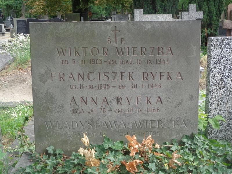 Zdjęcie grobu Anna Ryfka (2)