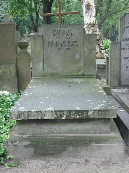 Zdjęcie grobu: Franciszek Desperak