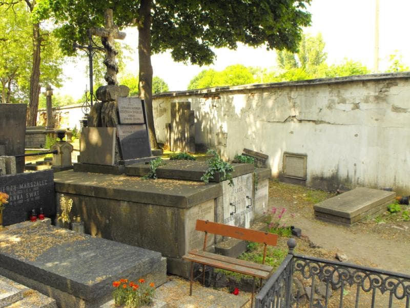 Zdjęcie grobu Ludwik, Gustaw Dzierżykray-Rogalski (1)