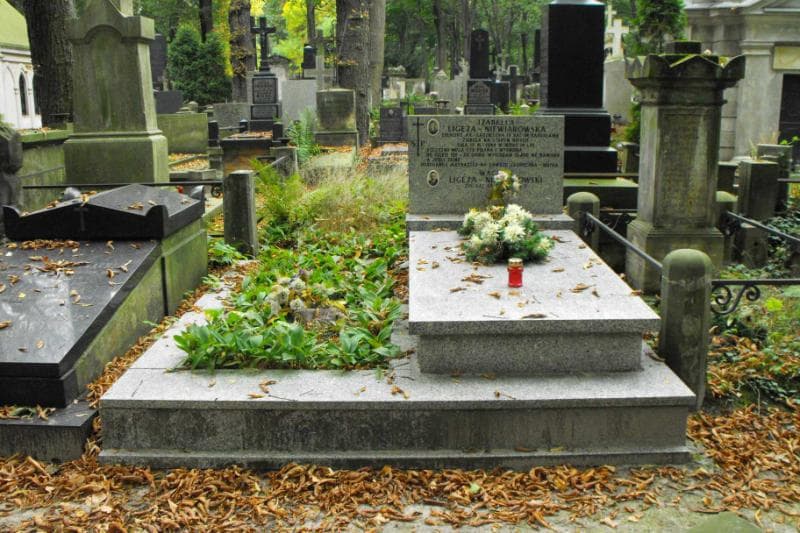 Zdjęcie grobu: Wacław Ligęza-Niewiarowski