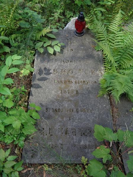 Zdjęcie grobu Emil Dąbrowski (2)