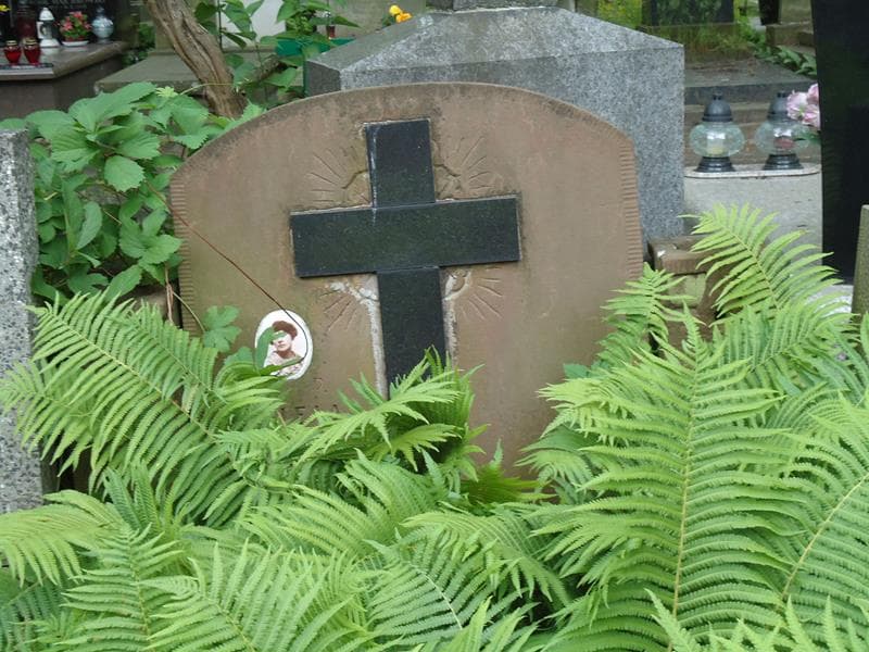 Zdjęcie grobu Aniela Siemiątkowska (2)