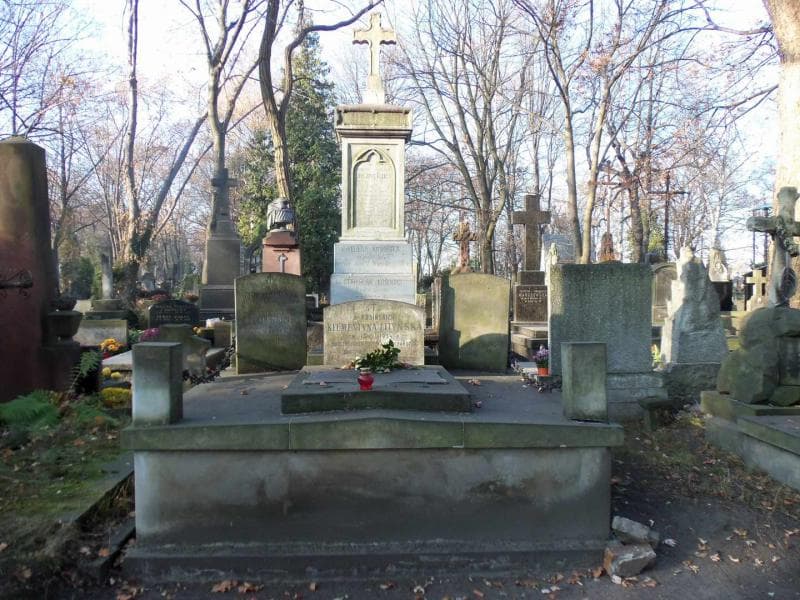 Zdjęcie grobu: Stefan Truchliński