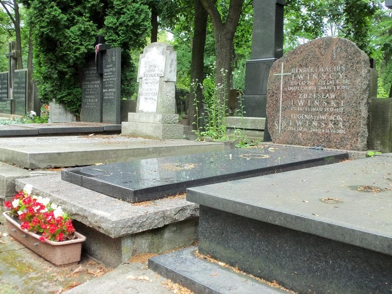 Zdjęcie grobu Henryk Iwiński (1)