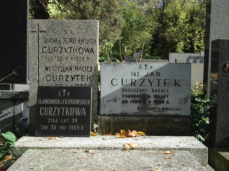 Zdjęcie grobu Władysław Maciej Curzytek (2)