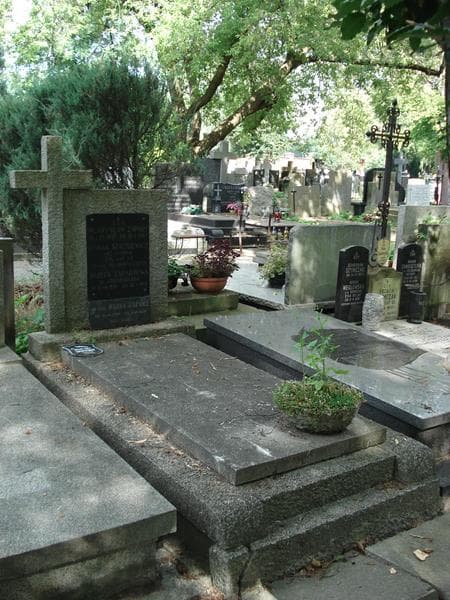 Zdjęcie grobu Roman Strusiewicz (1)