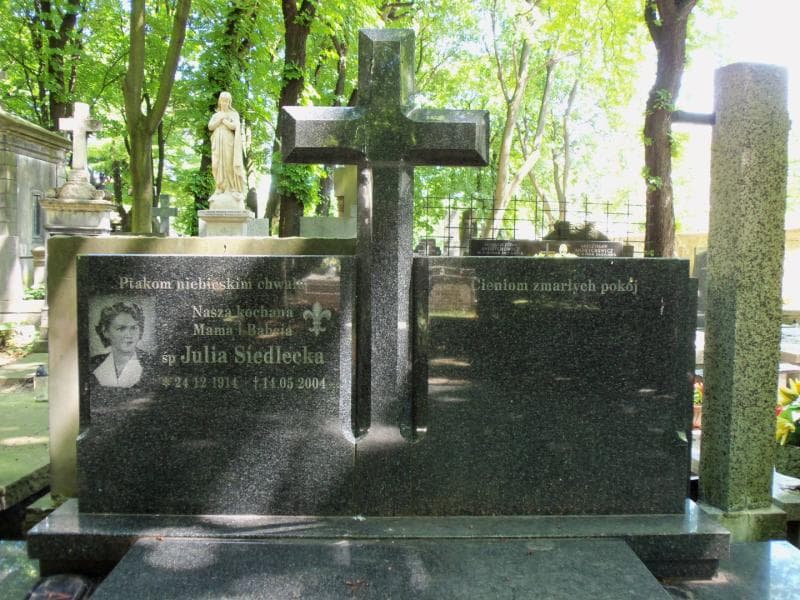 Zdjęcie grobu Julia Siedlecka (2)