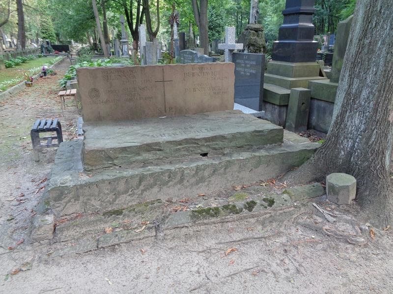 Zdjęcie grobu Cecylia Dutkiewicz (1)