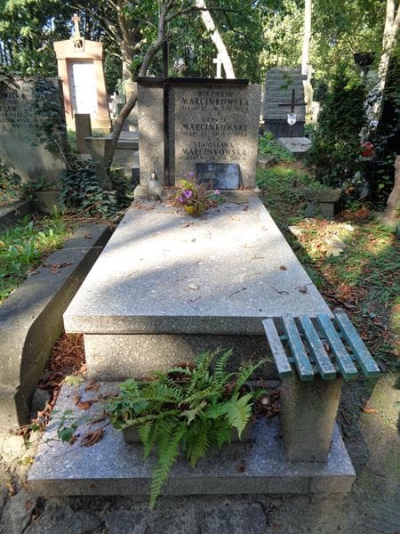 Zdjęcie grobu Henryk Marcinkowski (1)