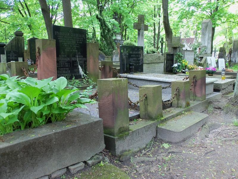 Zdjęcie grobu Henryk Cederbaum (1)