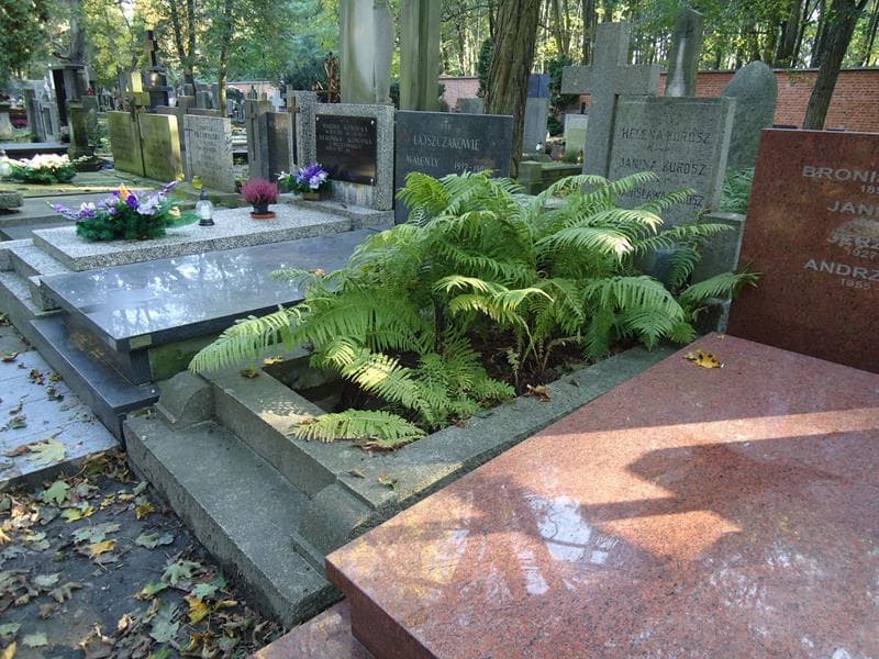 Zdjęcie grobu Janina Kurosz (1)