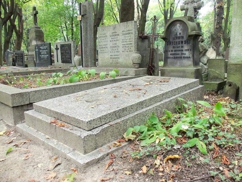 Zdjęcie grobu Józefa Bartoszewska (1)