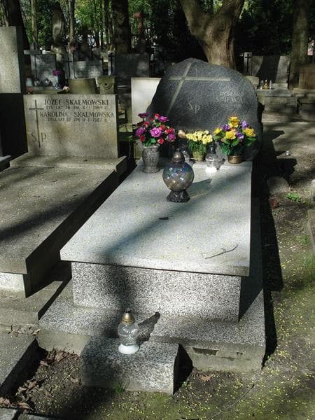 Zdjęcie grobu: Ludwik Boratyński