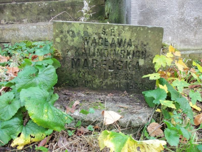Zdjęcie grobu Wacława Madejska (1)