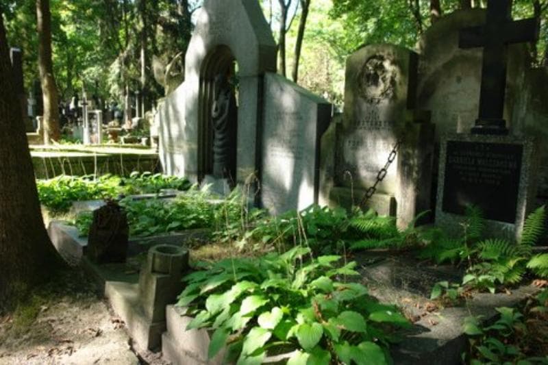 Zdjęcie grobu Józef Furstenberg (1)