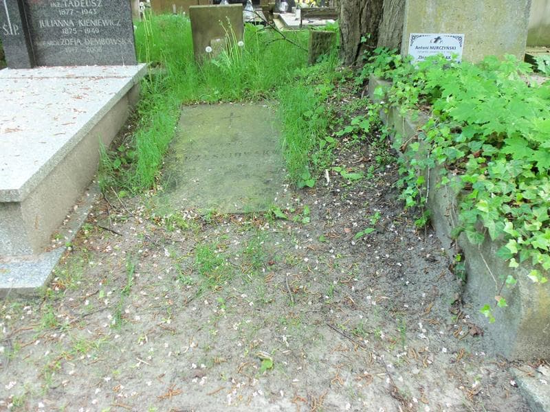 Zdjęcie grobu: Marja Wrześniowska