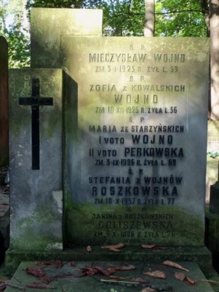 Zdjęcie grobu Janina Goliszewska (2)