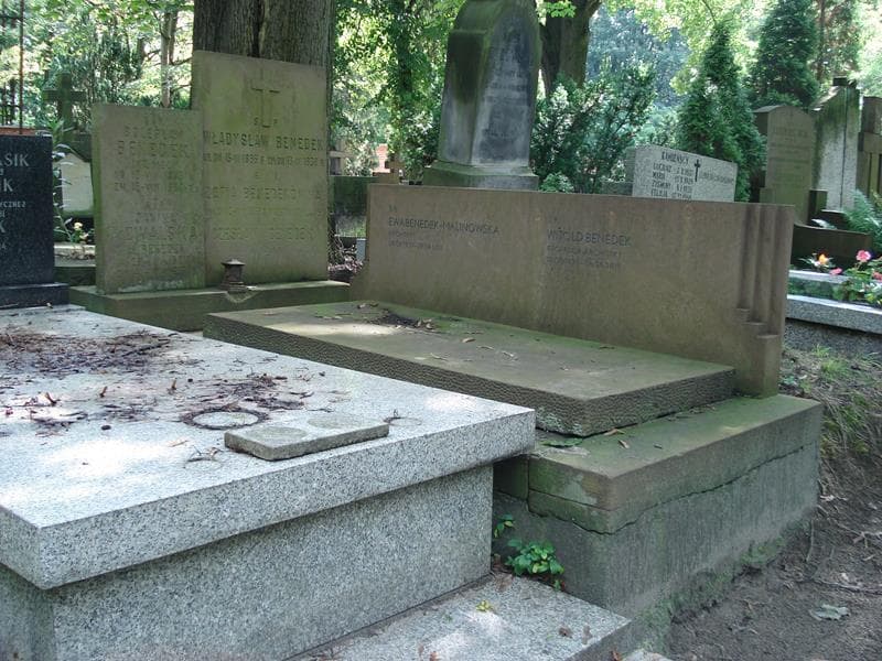 Zdjęcie grobu Bolesław Benedek (1)