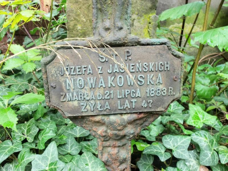 Zdjęcie grobu Wanda Bednarska (2)