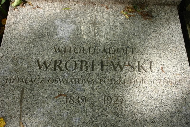 Zdjęcie grobu Janina Wróblewska (2)