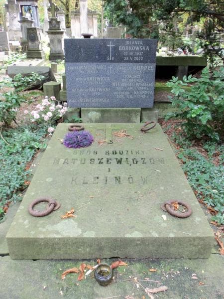Zdjęcie grobu Kleinowie (2)