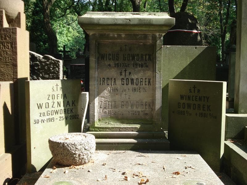 Zdjęcie grobu Wicuś Goworek (2)