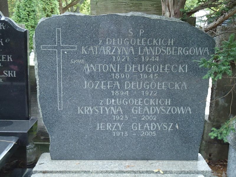 Zdjęcie grobu Jerzy Gładysz (2)