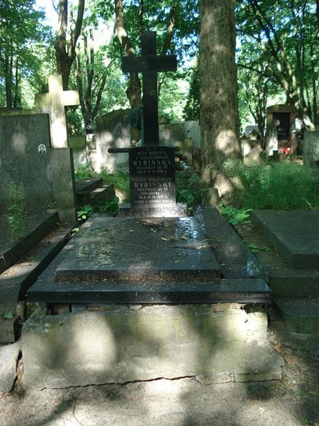Zdjęcie grobu: Mieczysław Rybiński