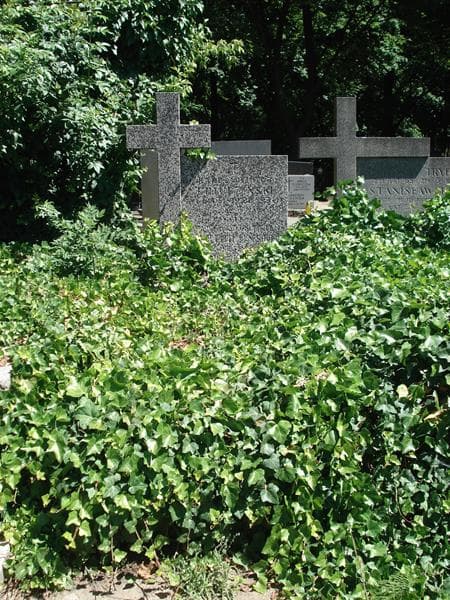 Zdjęcie grobu: Tadeusz Karol Chludziński
