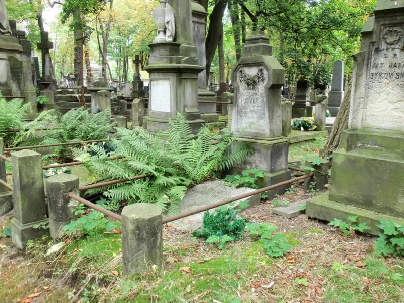 Zdjęcie grobu Stanisław Knaap (1)