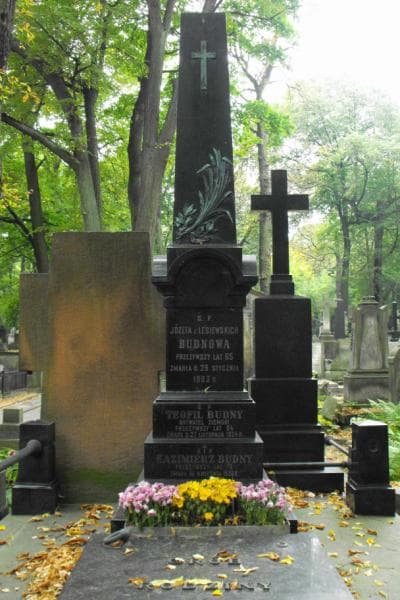 Zdjęcie grobu Aniela Budny (2)