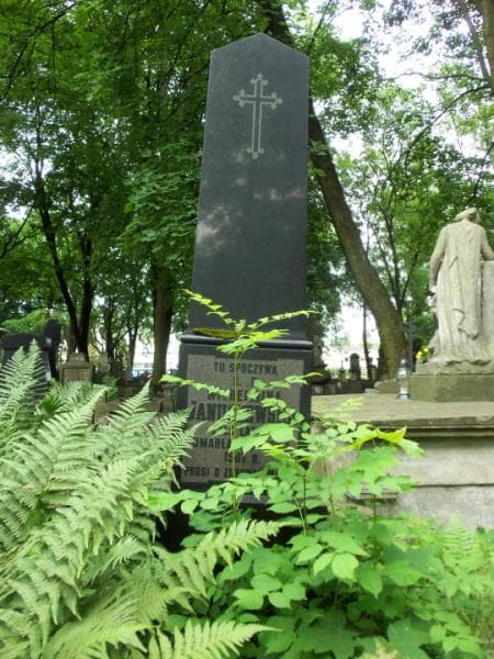 Zdjęcie grobu Wilhelmina Januszewska (2)