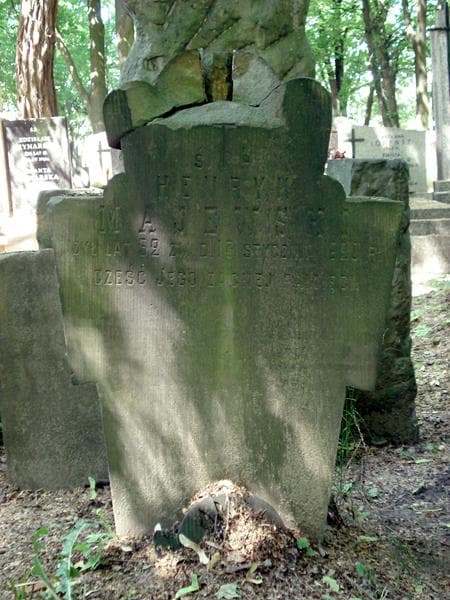 Zdjęcie grobu Henryk Majewski (1)