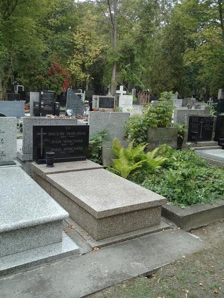 Zdjęcie grobu Wacław Marciniak (1)