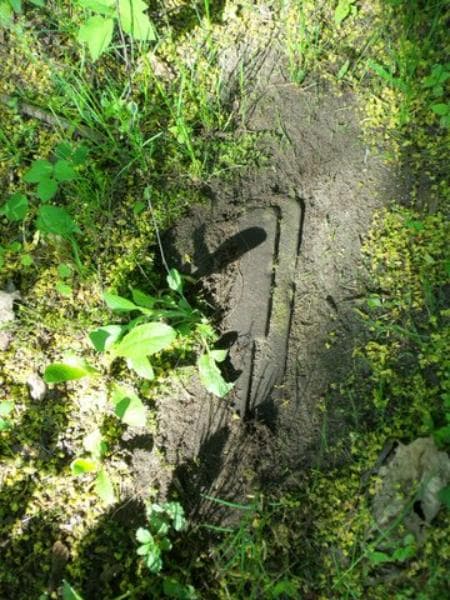 Zdjęcie grobu Jadwiga Bnińska (1)