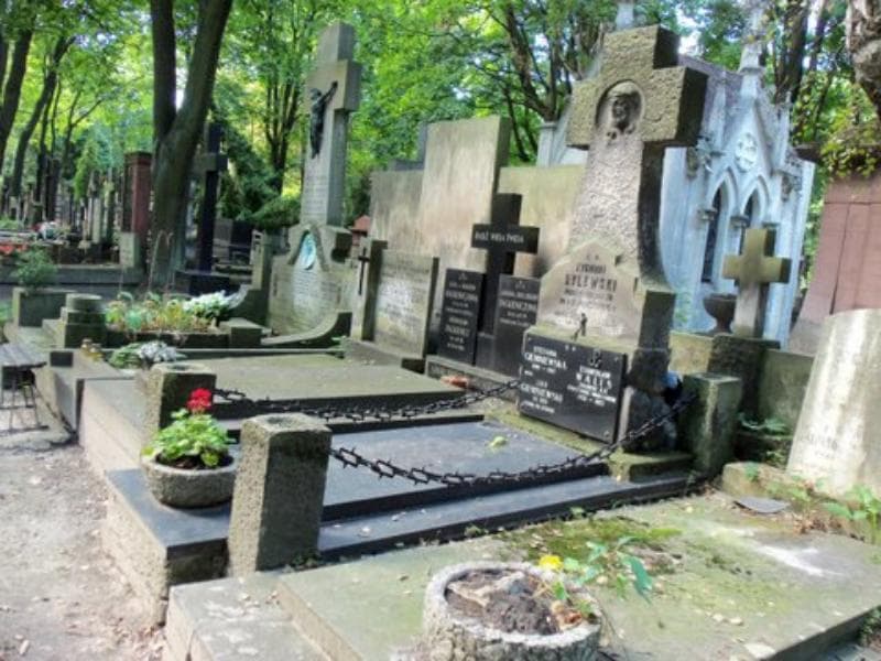 Zdjęcie grobu Stanisław Walis (1)