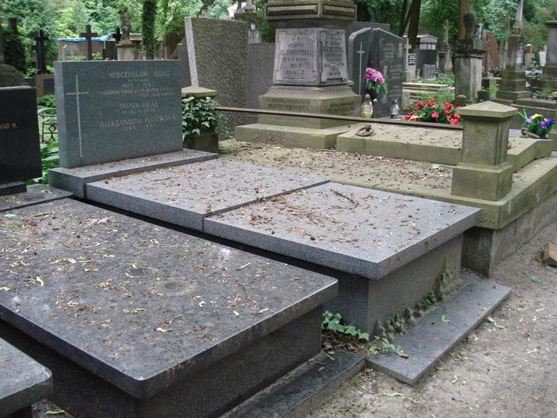 Zdjęcie grobu: Aleksandra Plejewska